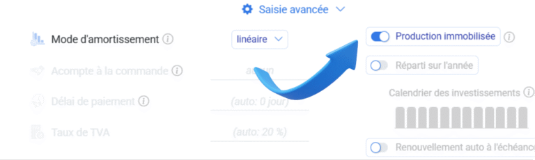 Production immobilisée